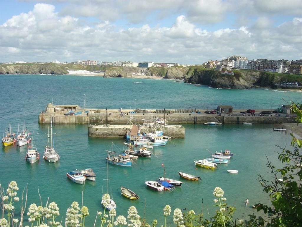Abreakaway Lodge New Quay Exterior foto